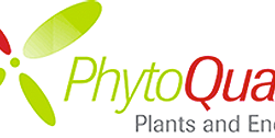 logo phytoquant, Plants and Energy
